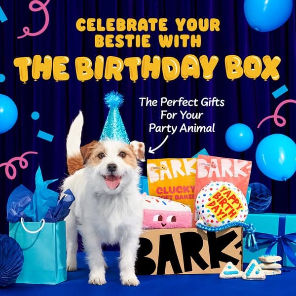 +1 FREE toy every month