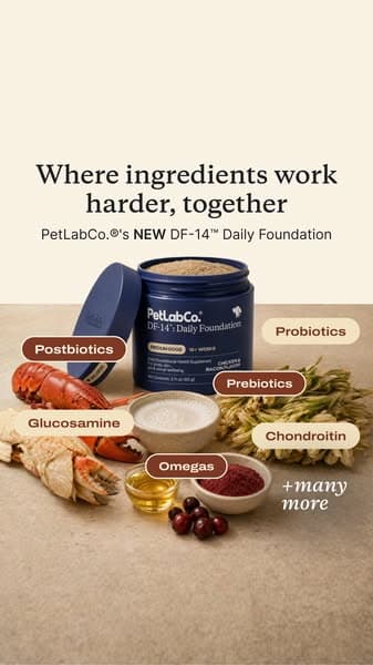 14 Daily Benefits, Real Results ✨