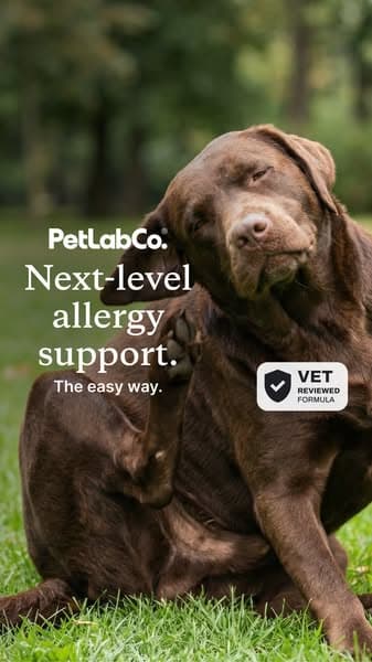 Stop Guessing. Give Them the Allergy Support Vets Trust