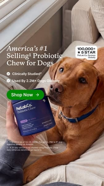 Finally a dog probiotic soft chew really built by science
