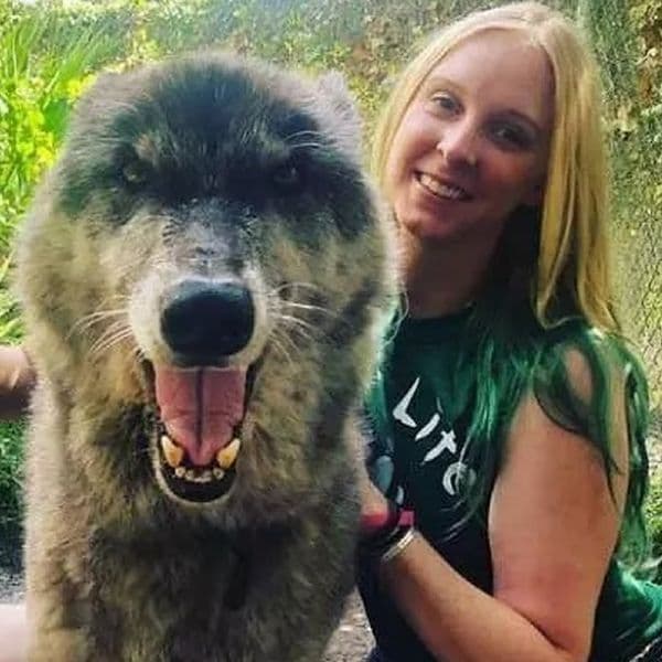 Experts Have Finally Solved The Mystery of Yuki, The Shelter 'Dog' That Wouldn’t Stop Growing