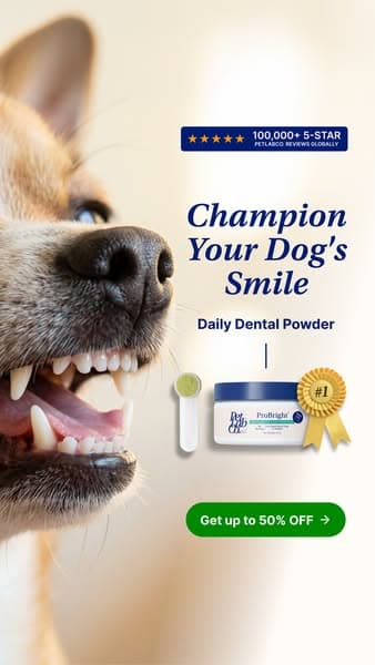 50% OFF Dental Powder for Dogs | Powerful Daily Support