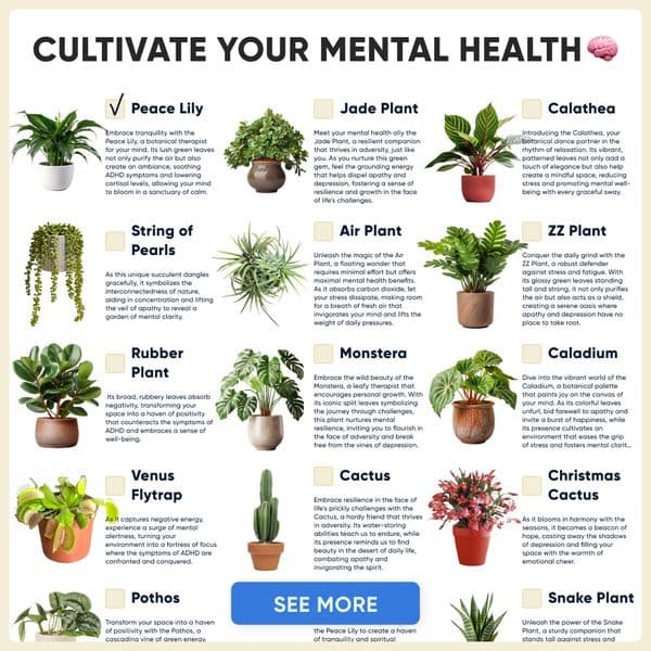 Shame on you for having plants dying!
