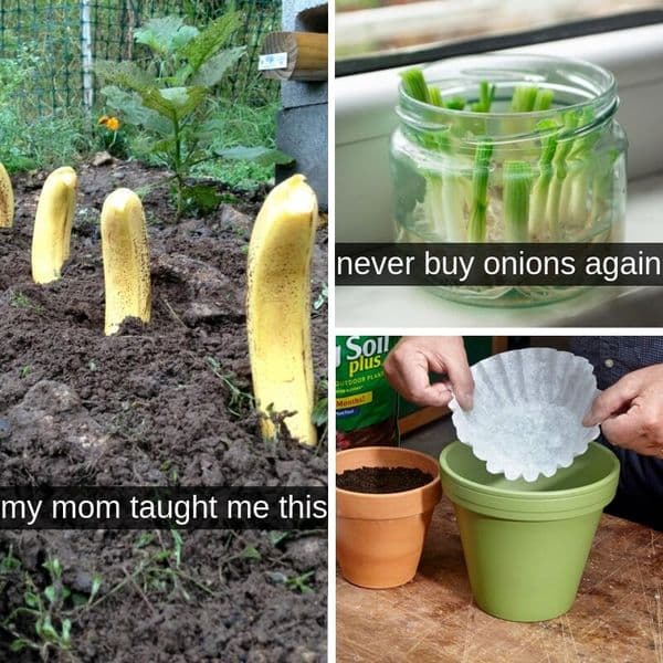 32+ Easy Garden Hacks That Work Wonders