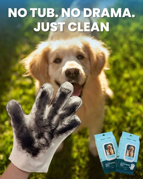 Effortless Grooming & a Shiny Coat with Uproot Grooming Gloves Pro!