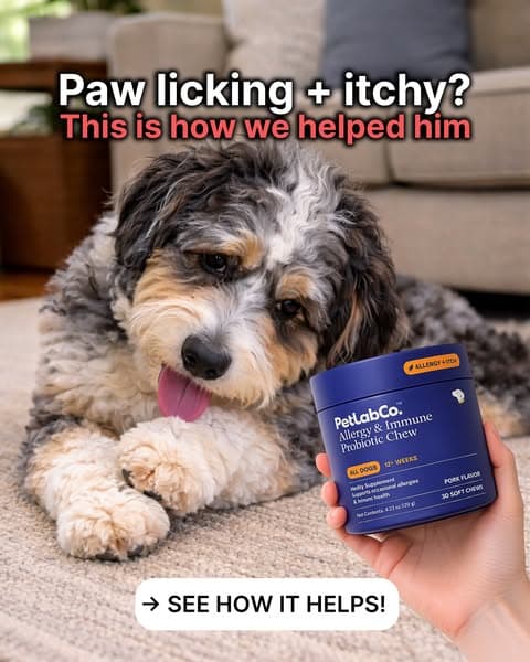 This “Allergy Chew” Helps Dogs Feel Like Themselves Again ❤️