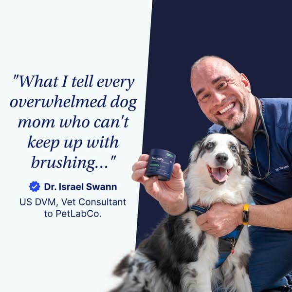 How Busy Moms Keep Their Dog's Teeth Clean in 5 Seconds a Day