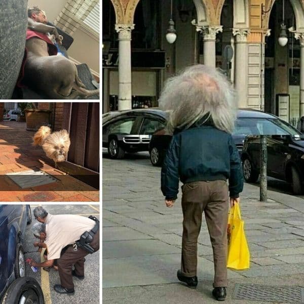 Több, mint 37 furcsa fotó, amely összezavarta az internetet.