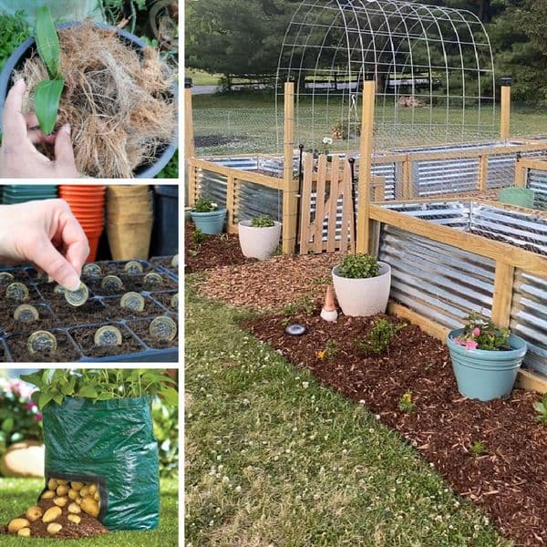 35+ Easy Hacks For A Charming Garden