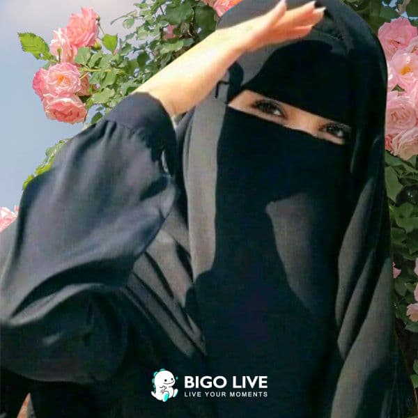 بيجو لايف _ تطبيق بث مباشر مجانى