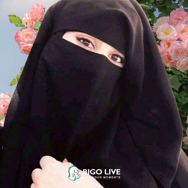 بيجو لايف _ تطبيق بث مباشر مجانى