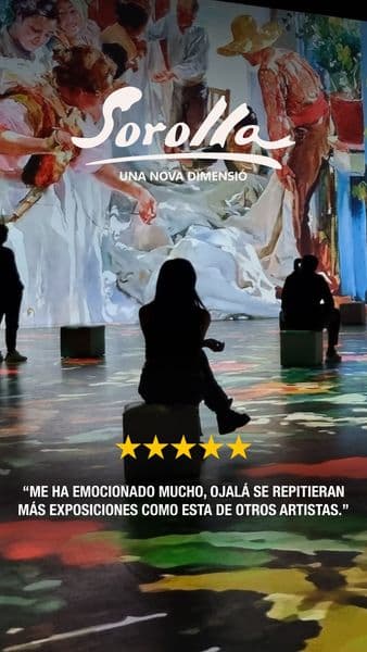 SOROLLA - Centre d'Art Amatller