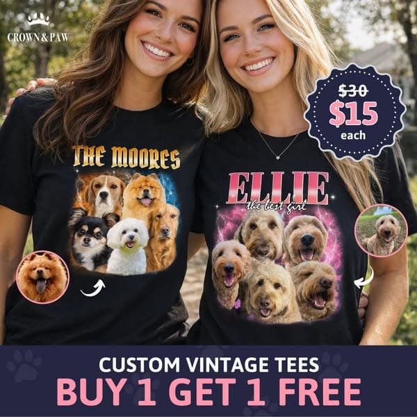 Buy 1 Pet Tee, Get 1 FREE 🐾