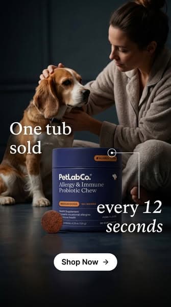 He Takes It Like A Treat