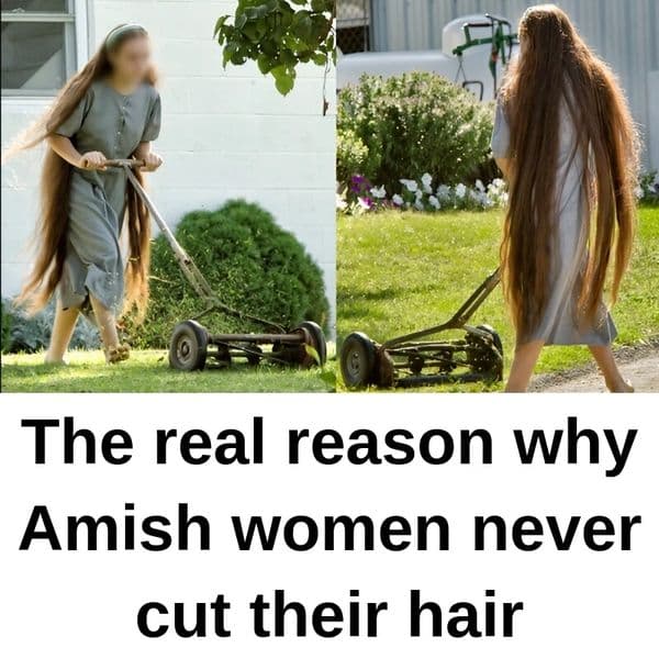 Weird Things About Amish Life We Never Knew