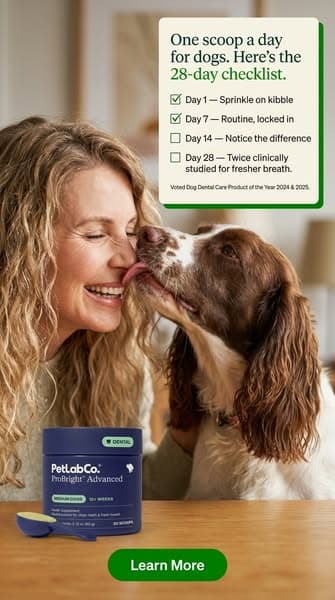 Keep their teeth clean WITHOUT a toothbrush!