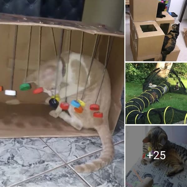 DIY Cat Toys That Will Help Keep Any Cat Happy