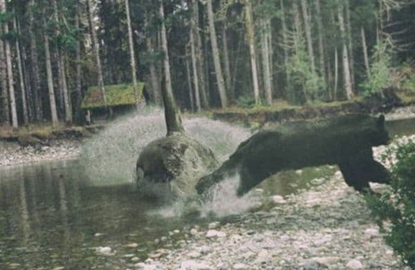 These Drone Photos Show The True Face Of Mother Nature