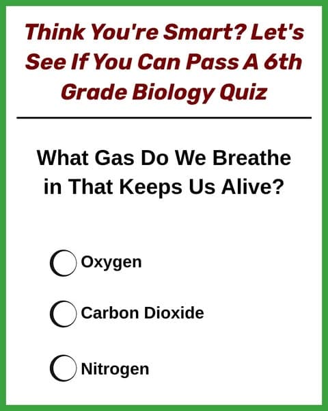 Try The Elementary School Biology Quiz 🚗