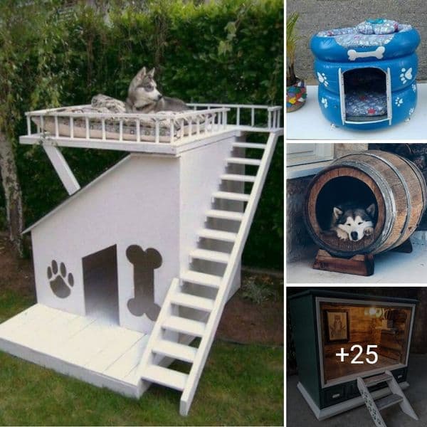 40 Dog Houses That Redefine Canine Comfort and Style