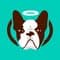 Natural Dog Company