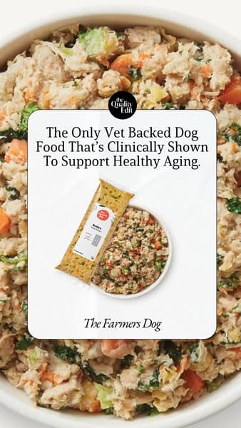 Why Our Editors Recommend The Farmer’s Dog (Now 50% Off)