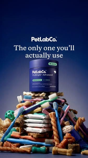 The Simple Dental Routine You’ll Actually Stick With