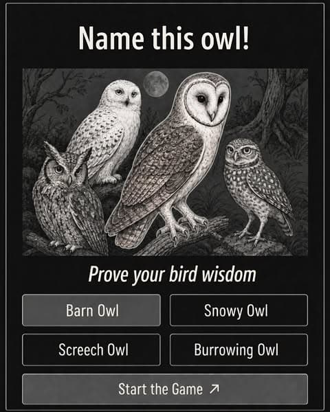 🕊Ornithology, but Bite-Sized!