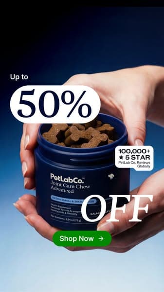 Get up to 50% OFF today!