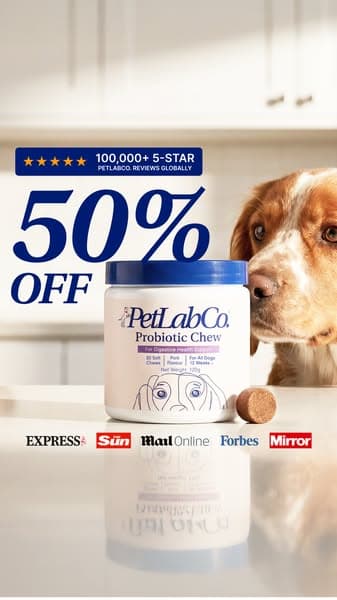 50% OFF | Daily Dog Gut Support In 1 Soft Chew