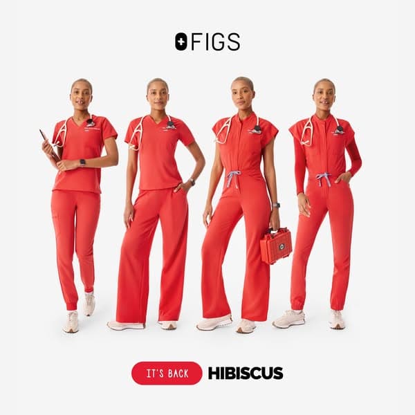 MUCH-LOVED HIBISCUS IS BACK