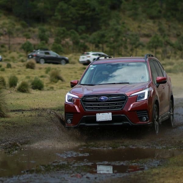 Subaru's New Forester Model Is Absolutely Stunning
