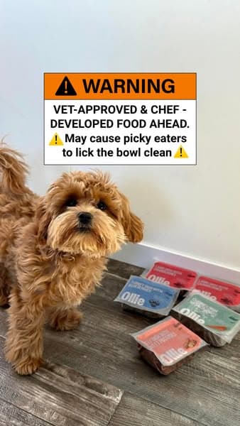 Chef-Developed Recipes