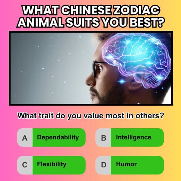 The Chinese Zodiac Quiz: Which Animal Are You Meant to Be?