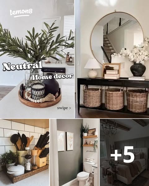 Download Lemon8 to see more infomation!