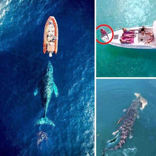 30+ unheimliche Fotos, die nur eine Drohne sehen könnte