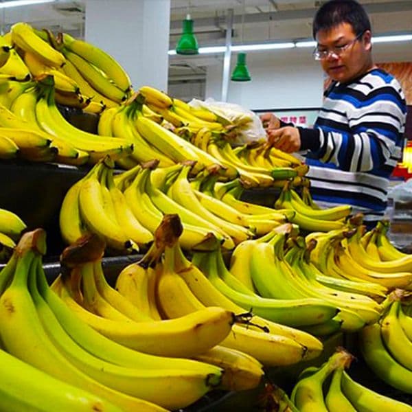 Eating A Banana Every Day Has One Confounding Impact On The Human Body