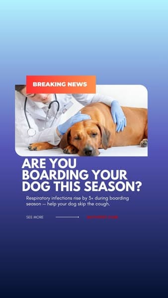 Breaking News for Pet Parents