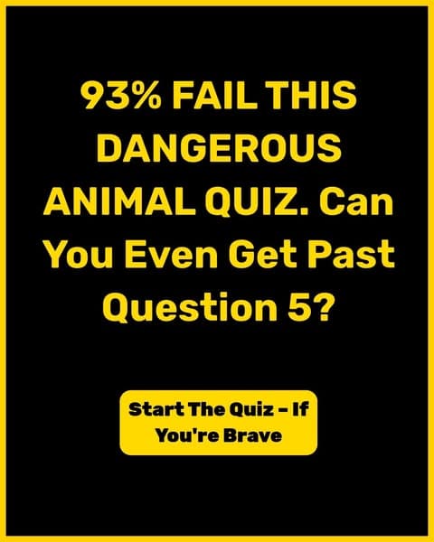 Only Die-Hard Animal Fans Can Get Every Question Right