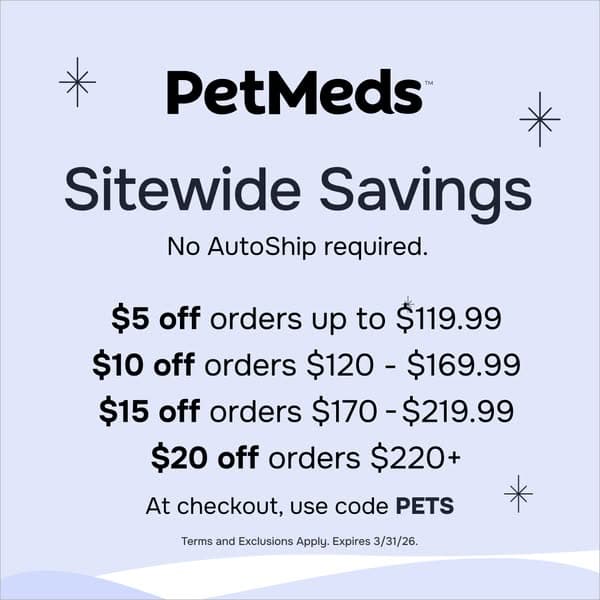 🎉 Buy More, Save More!