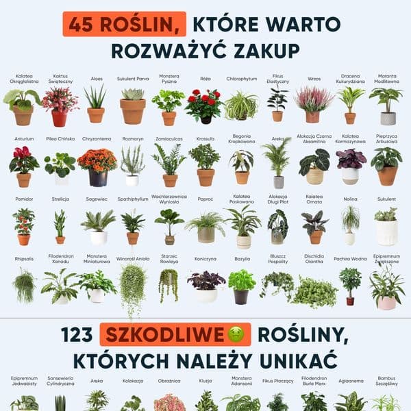 Weź PlantIn i już nigdy więcej nie zabij swojej rośliny!