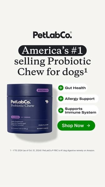 92% of dog parents love it from day one!