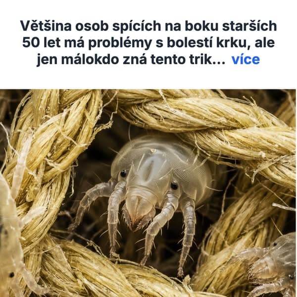 Vyzkoušejte tento polštářový trik ještě dnes! (Nutnost si přečíst)
