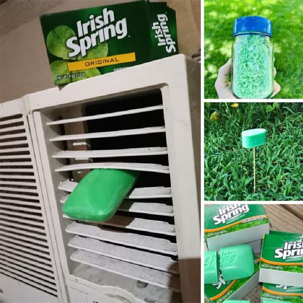 Beyond The Shower: Innovative Ways To Use A Bar Of Soap