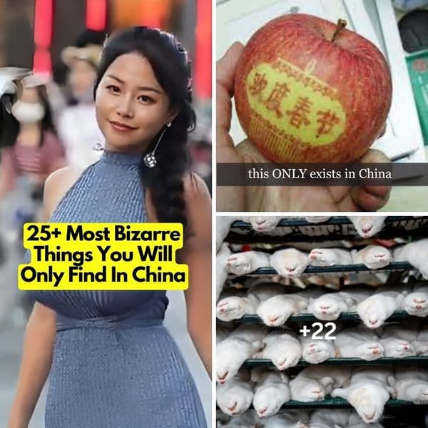 25+ Most Bizarre Things You Will Only Find In China