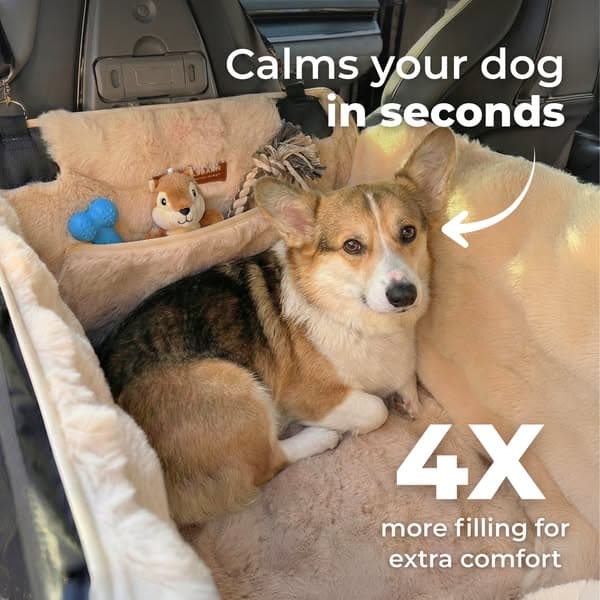 Keep Your Car Clean — Every Ride