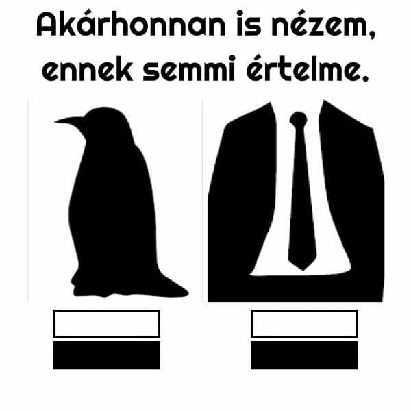 Több, mint 37 furcsa fotó, amely összezavarta az internetet.