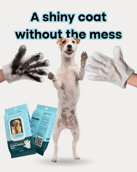 Effortless Grooming & a Shiny Coat with Uproot Grooming Gloves Pro!