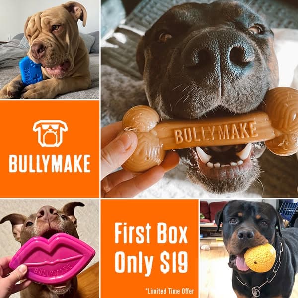 Get Your First Box for ONLY $19!
