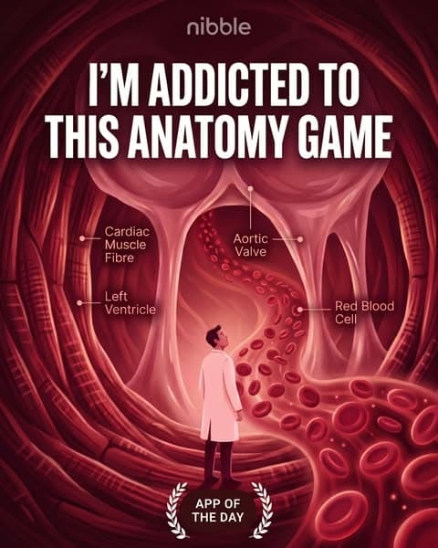 🔬 Biology, but Bite-Sized!